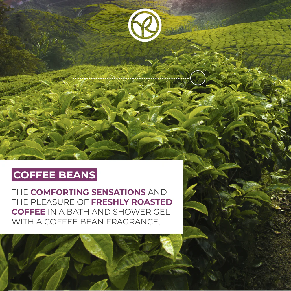 Coffee Beans Comforting Bath & Shower Gel - 400 ml - Image 3
