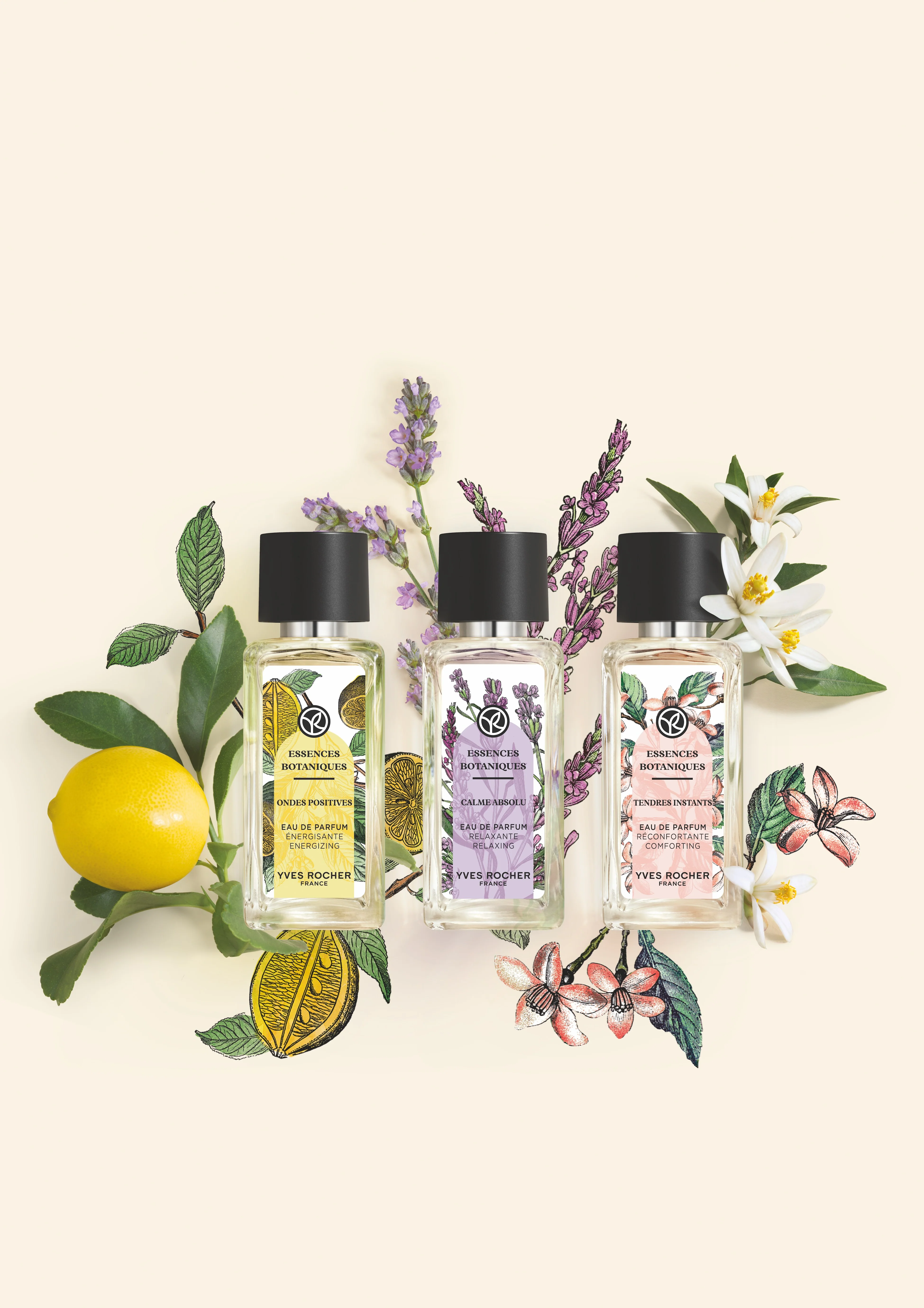 Eau de Parfum Calme Absolu 50 ml - Image 6
