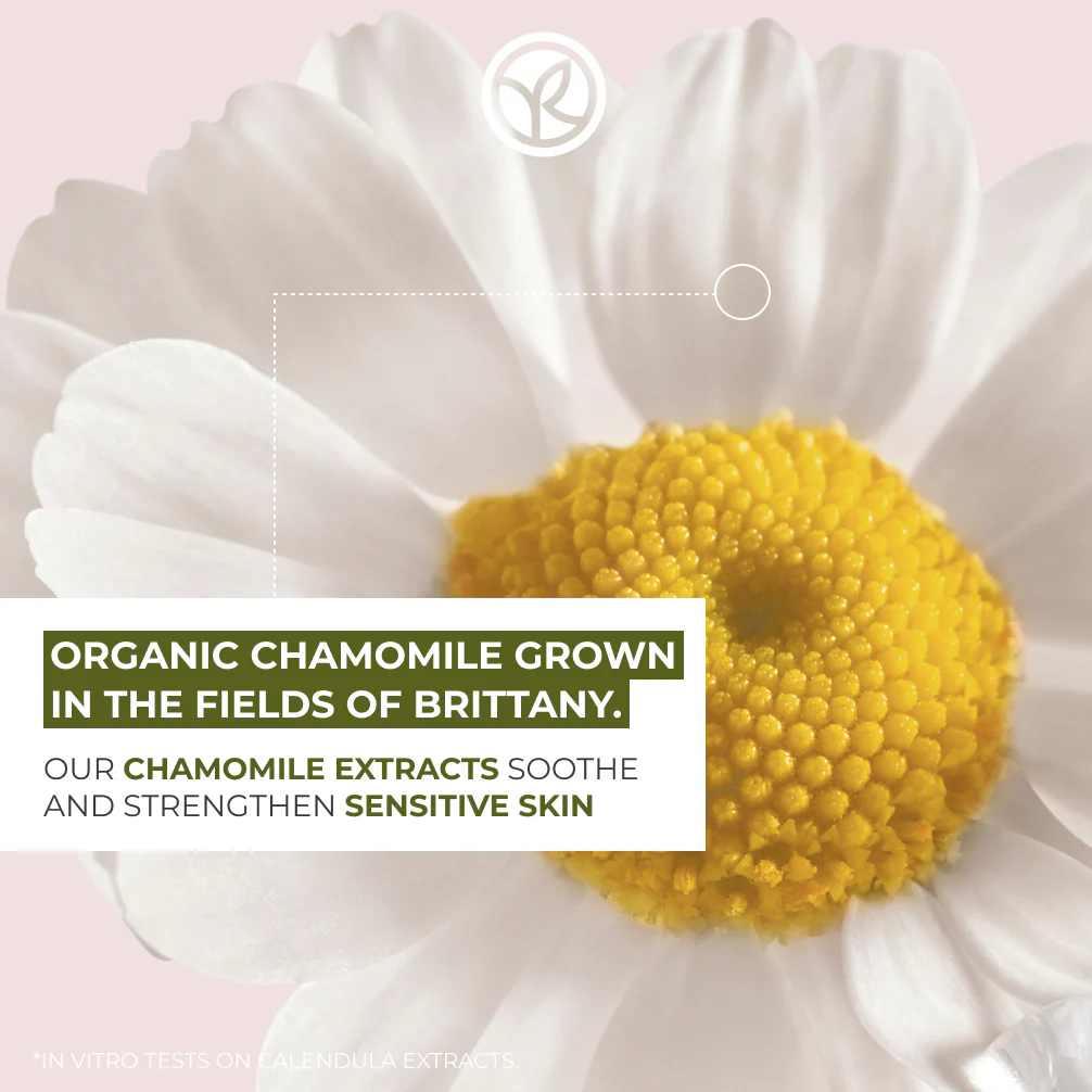 Face and Body Comfort Cream - Image 5
