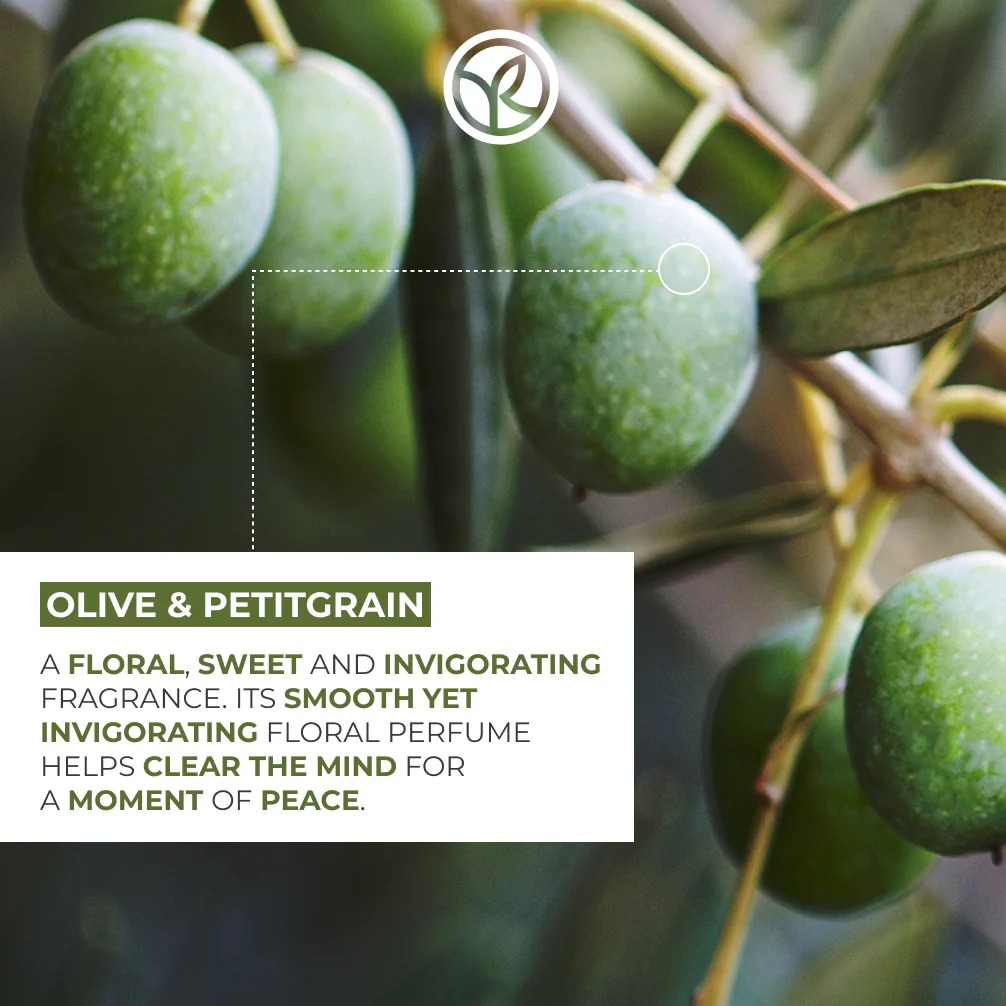 Olive & Petitgrain Relaxing Bath & Shower Gel - 400 ml - Image 4