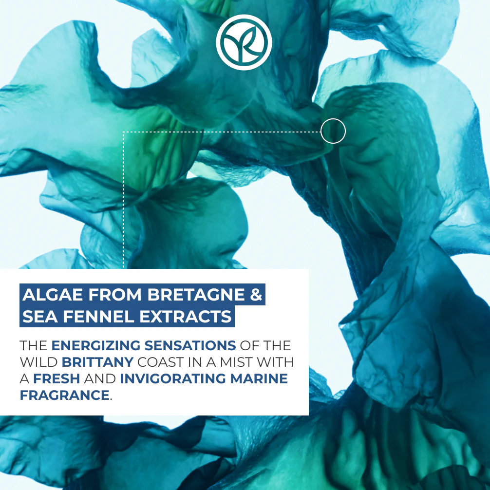 Wild Algae & Sea Fennel Moisturizing Hand Cream - Image 5